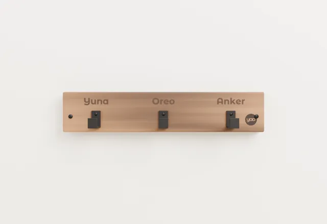 Personalized dog leash holder · Forge