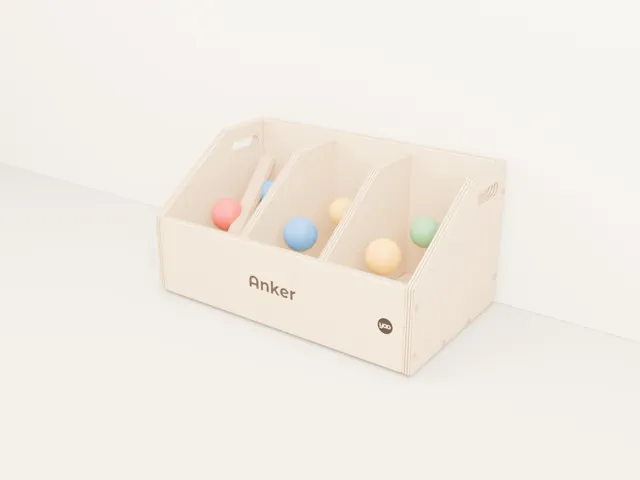 Personalized dog toy box