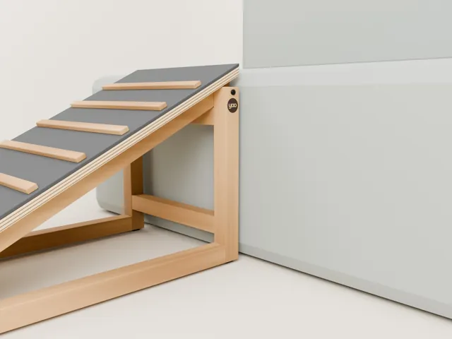 Rampa para perro para sofá y cama