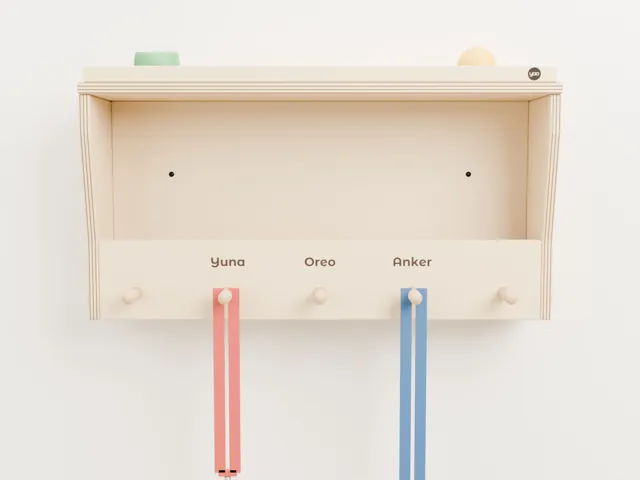 Dog leash holder with shelf