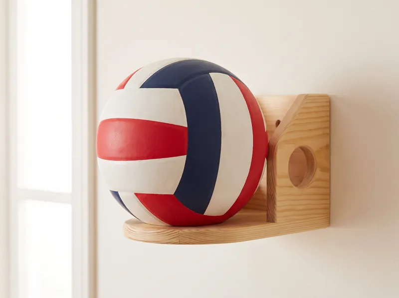 Wall-mounted ball holder